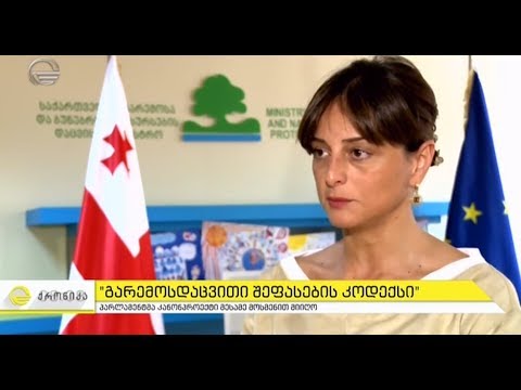 საქართველოს პარლამენტმა ,,გარემოსდაცვითი შეფასების კოდექსი“ მესამე მოსმენით მიიღო